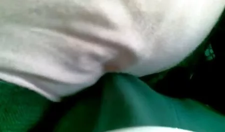 گربه وحشی پشمالو, طعمه در نوجوان دانلود فیلم سکسی هندی ایرانی