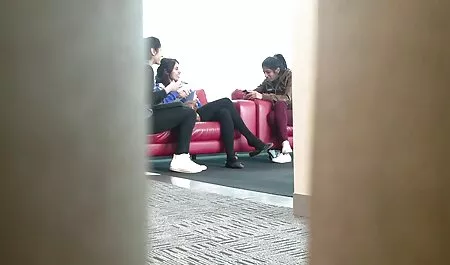 Ciliary ترانس 4 سگس هنده